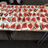 piknik-2026-09